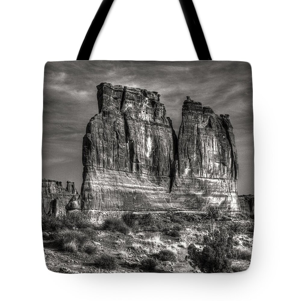 Sandstone Tote Bag featuring the photograph Roadside Fins #1 by ELDavis Photography