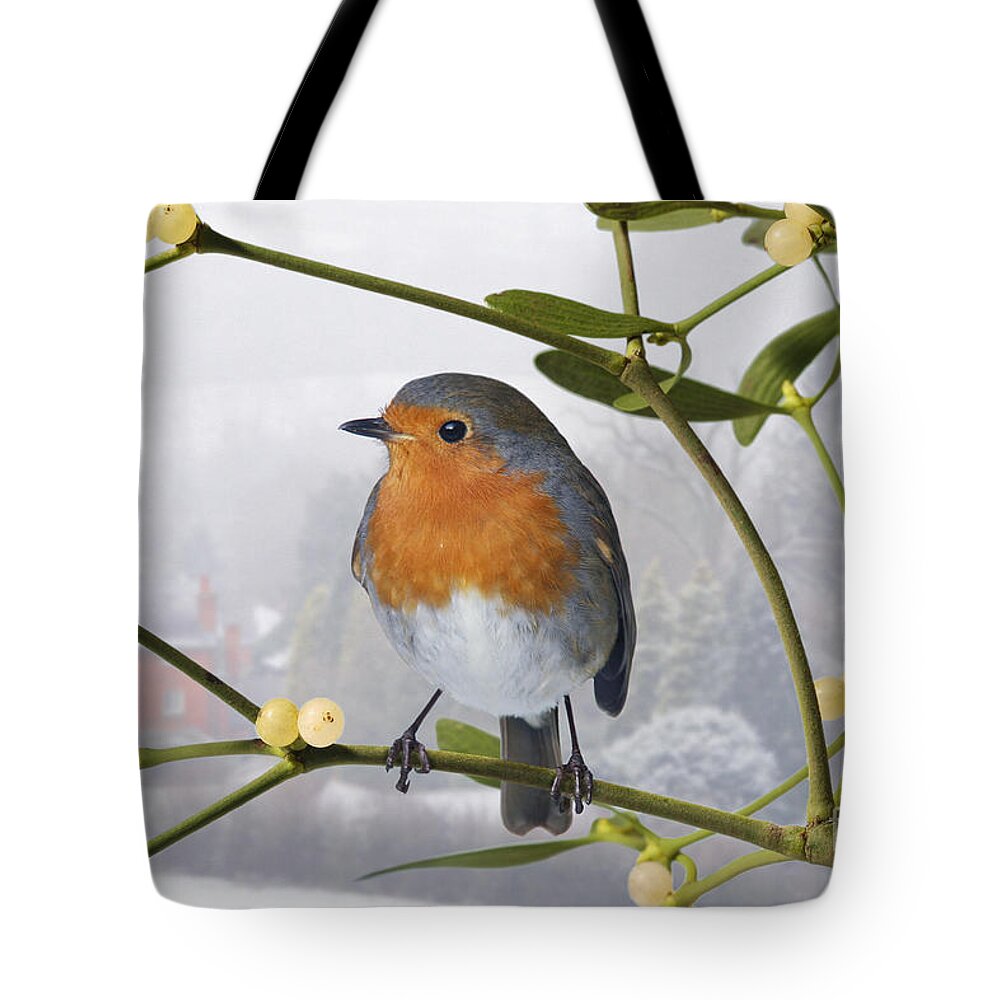 European Robin Tote Bag featuring the photograph Robin on mistletoe by Warren Photographic
