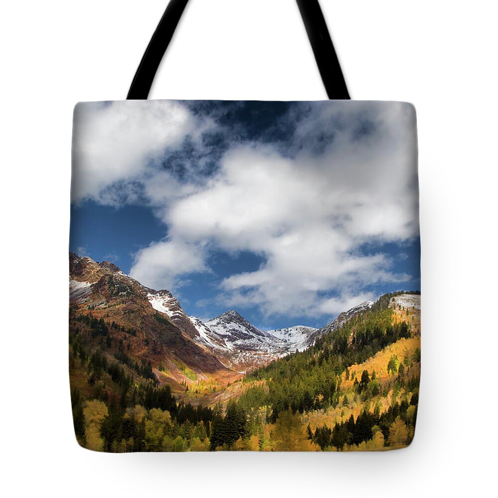 Autumn Tote Bag featuring the photograph Rocky Mountain Fall #1 by Mark Smith