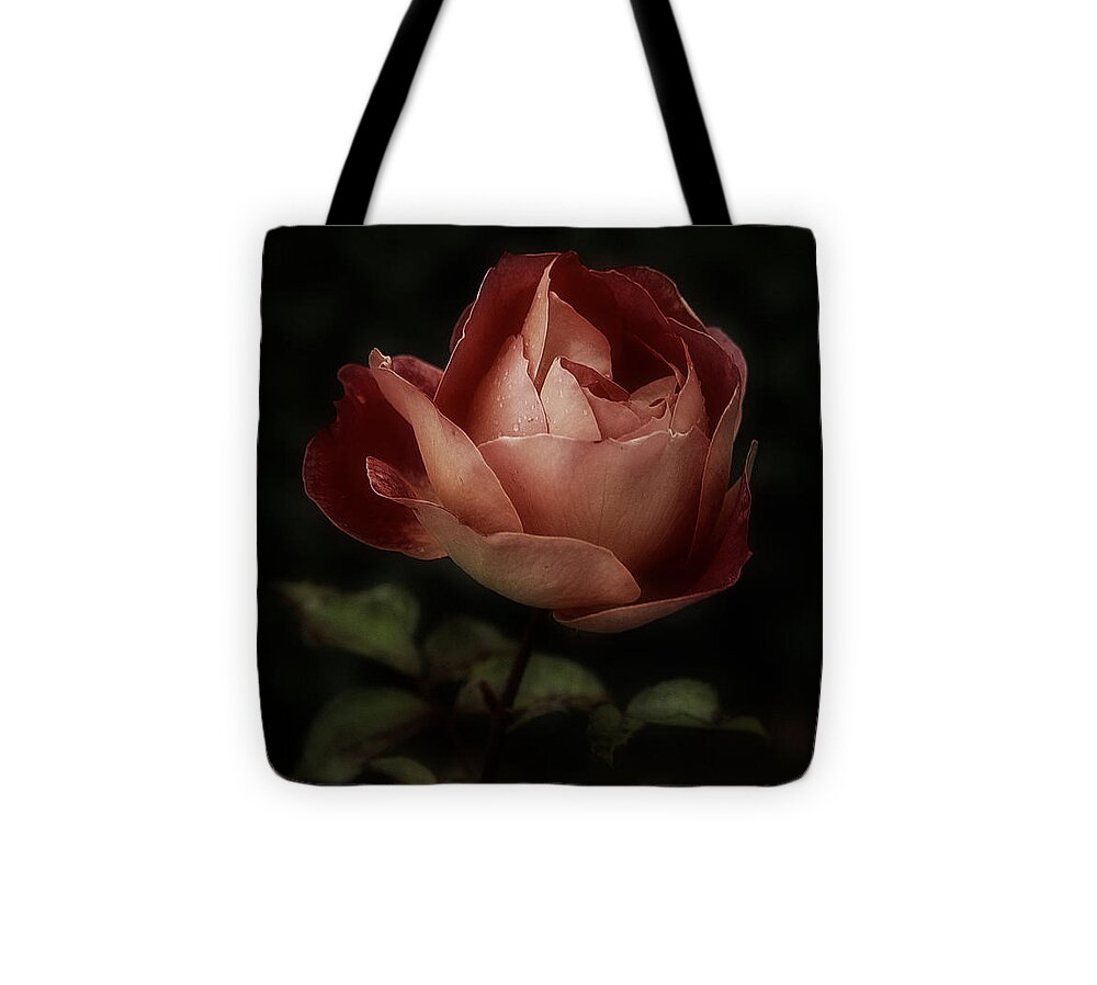 Rose Tote Bag featuring the photograph Romantic November Rose by Richard Cummings