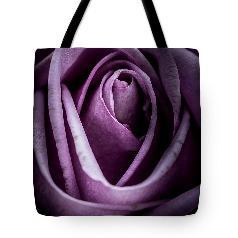 Flower Tote Bag featuring the photograph Rose #1 by Allin Sorenson