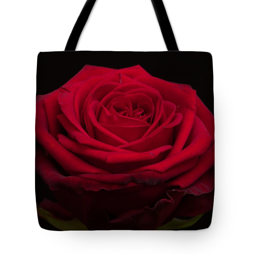Miguel Tote Bag featuring the photograph Roses are Red #2 by Miguel Winterpacht
