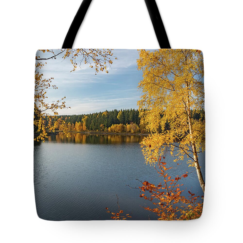 Nature Tote Bag featuring the photograph Saegemuellerteich, Harz #1 by Andreas Levi