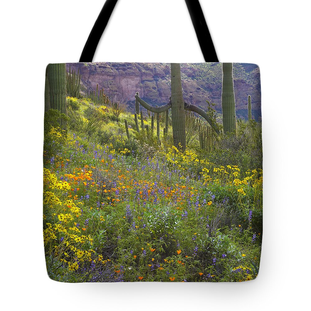 00175594 Tote Bag featuring the photograph Saguaro Amid Flowering Lupine #1 by Tim Fitzharris