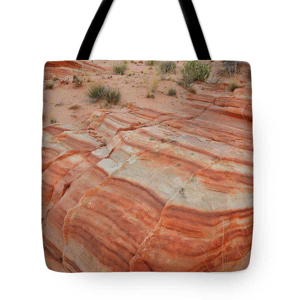 Valley Of Fire State Park Tote Bag featuring the photograph Sandstone Stripes in Valley of Fire #1 by Ray Mathis