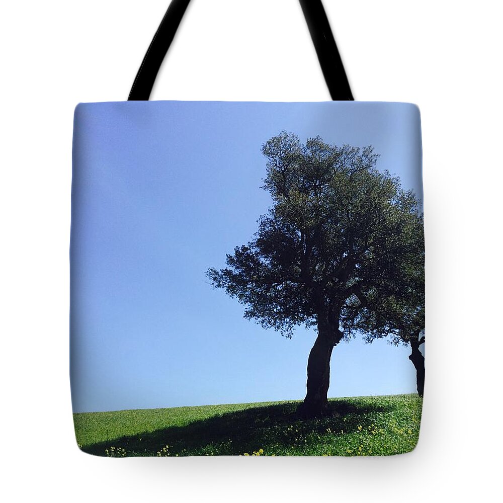 Bay Tote Bag featuring the photograph Sardinia #1 by Cindy N