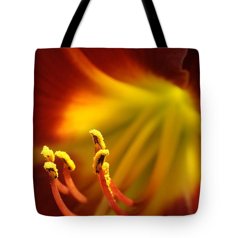 Day Lily Tote Bag featuring the photograph Sextet #2 by Bill Morgenstern