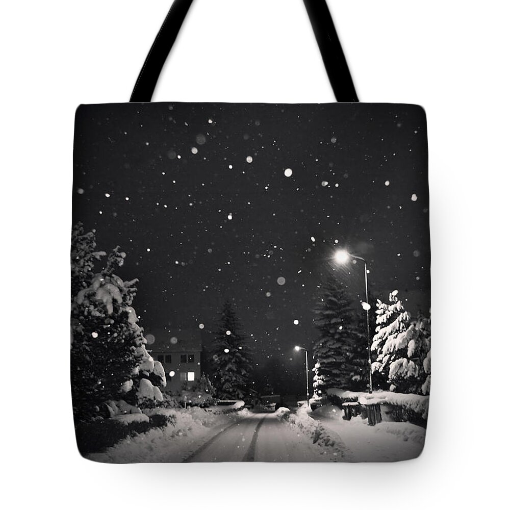 Snow Tote Bag featuring the photograph Silent Night by Dorit Fuhg