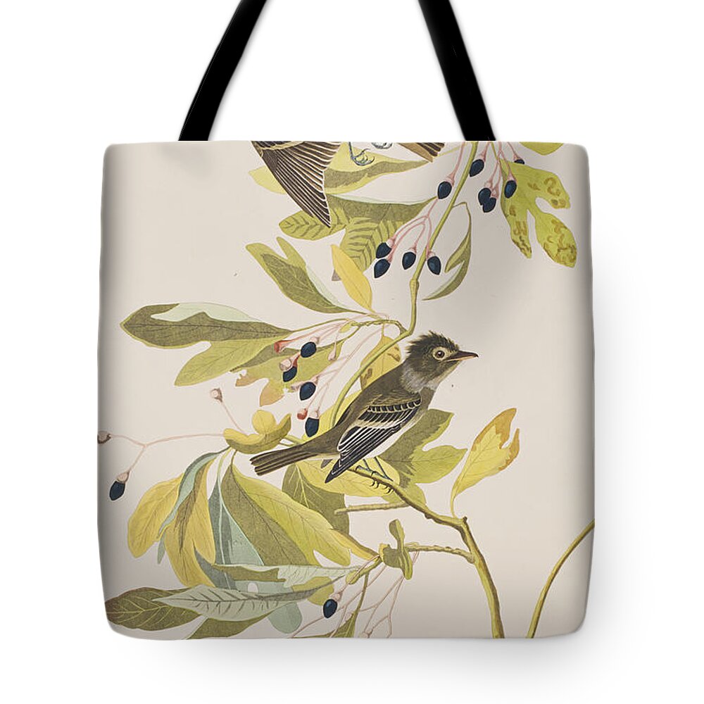 Flycatcher Tote Bag featuring the painting Small Green Crested Flycatcher by John James Audubon