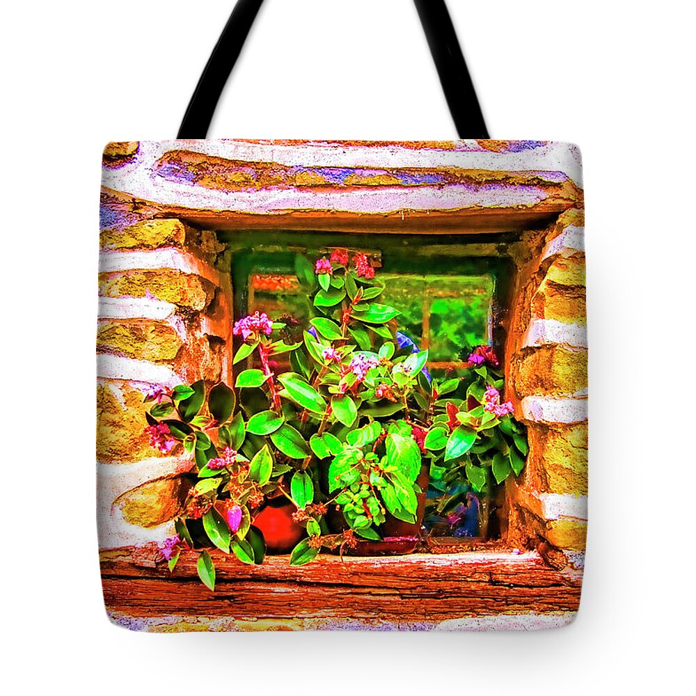 Romania Windows Balkans Architecture Tote Bag featuring the photograph Small Window #1 by Rick Bragan