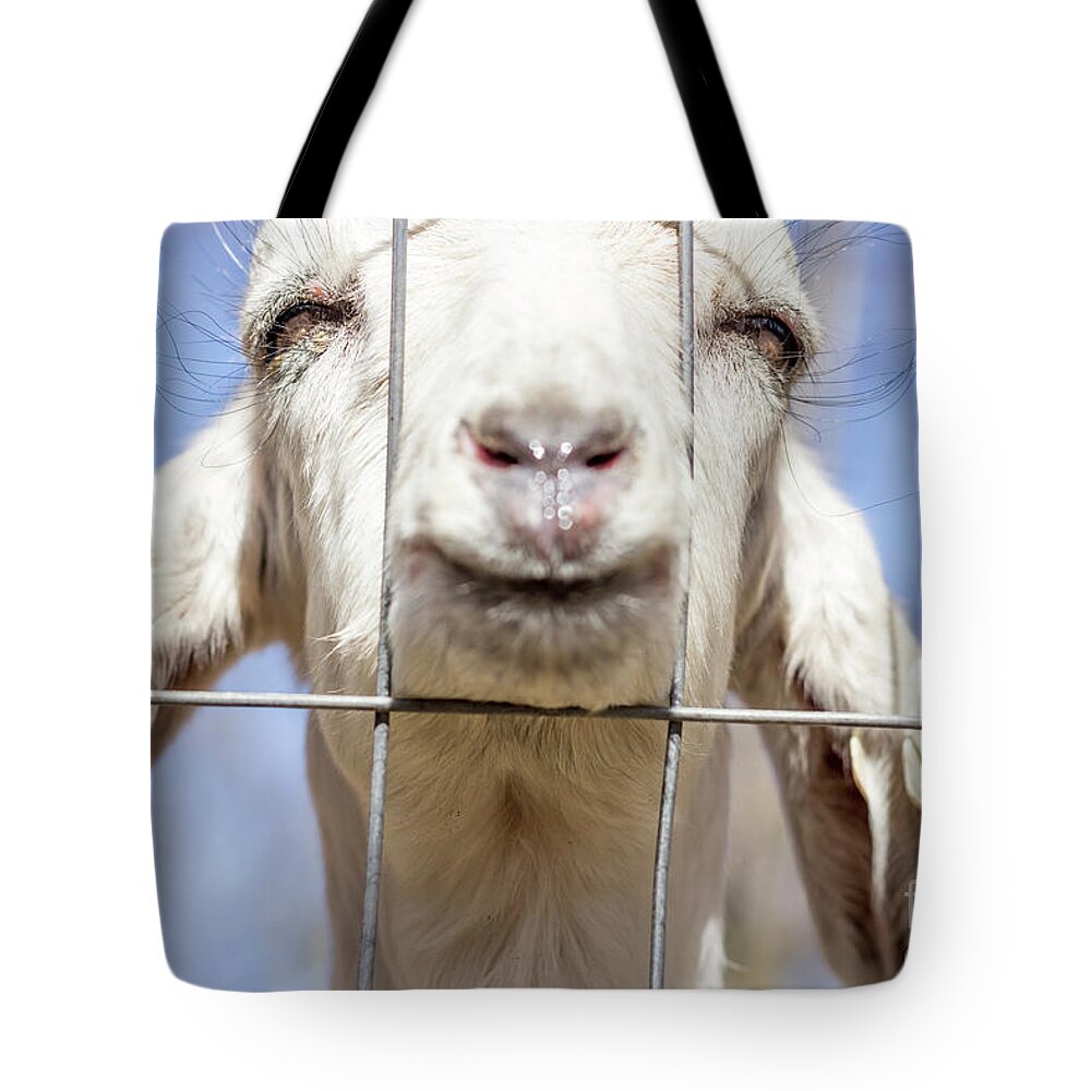 Goat Tote Bag featuring the photograph Smiling Goat #1 by Ezume Images
