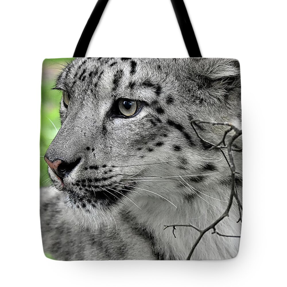 Panthera Uncia Tote Bag featuring the photograph Snow Leopard #1 by Kuni Photography