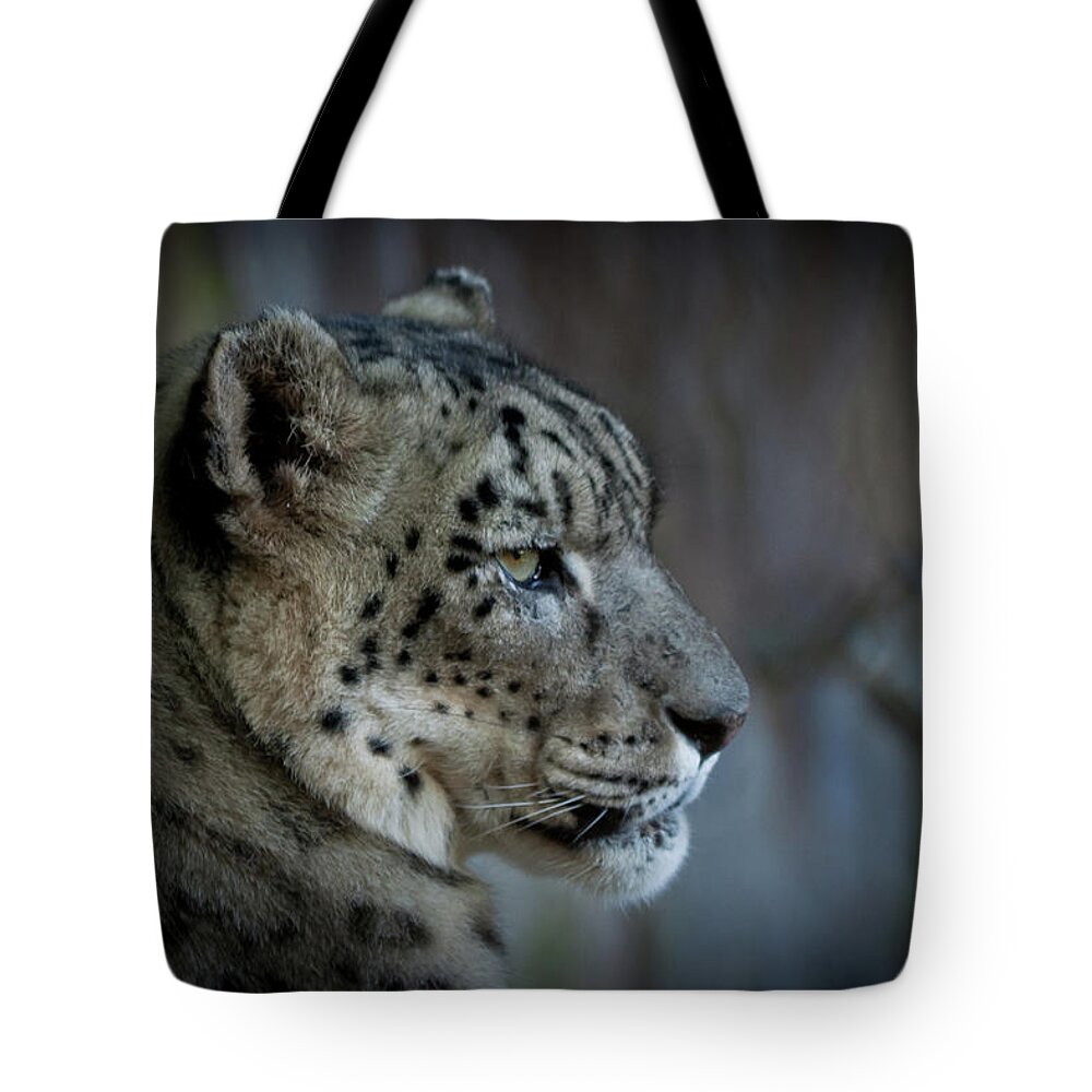 Snow Leopard Tote Bag featuring the photograph Snow Leopard #1 by Roger Mullenhour