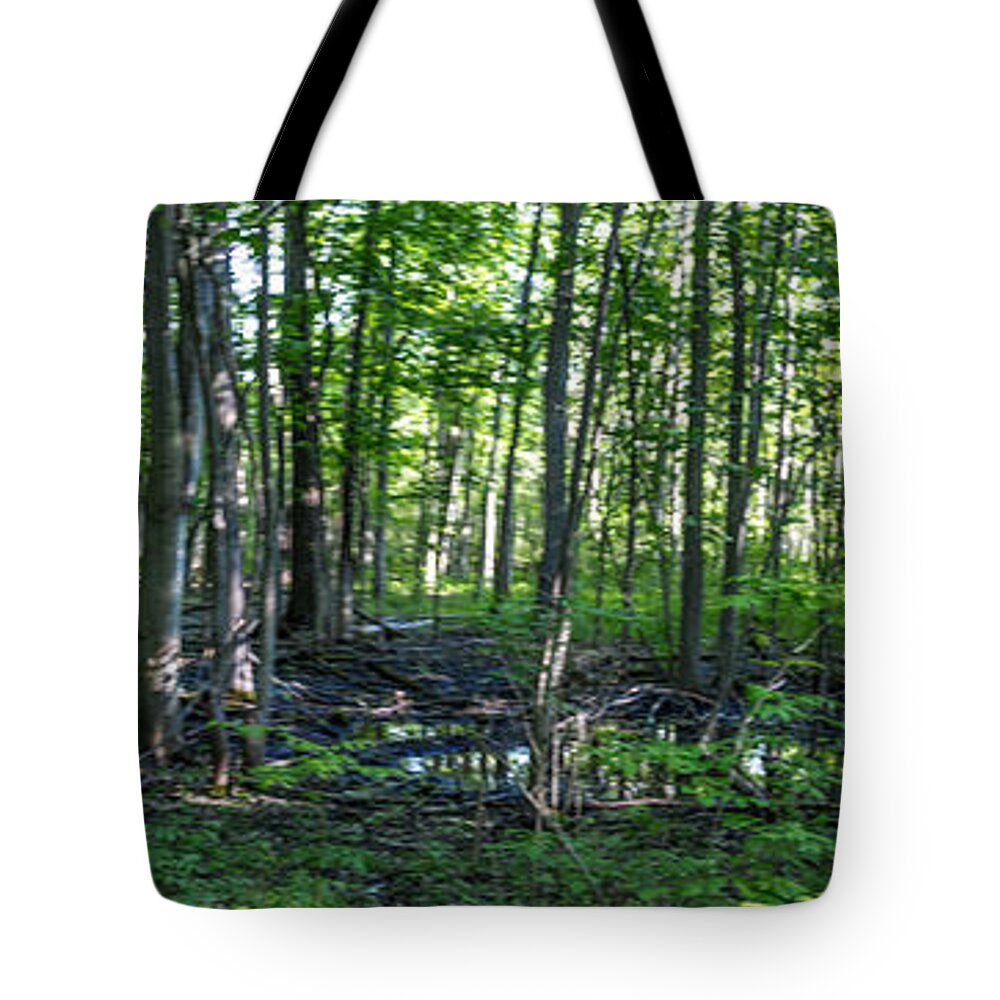Swamp Tote Bag featuring the photograph Song Bird Trail #1 by William Norton