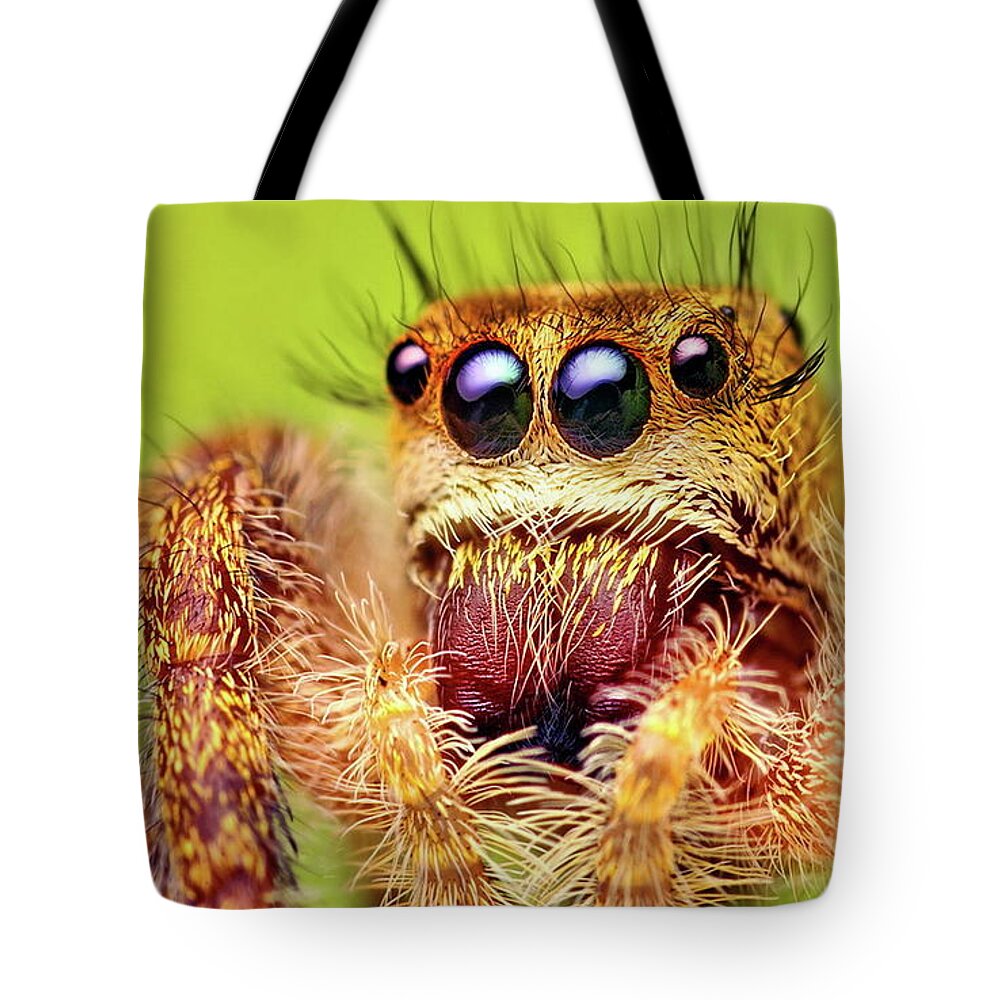 Spider Tote Bag featuring the photograph Spider #1 by Jackie Russo