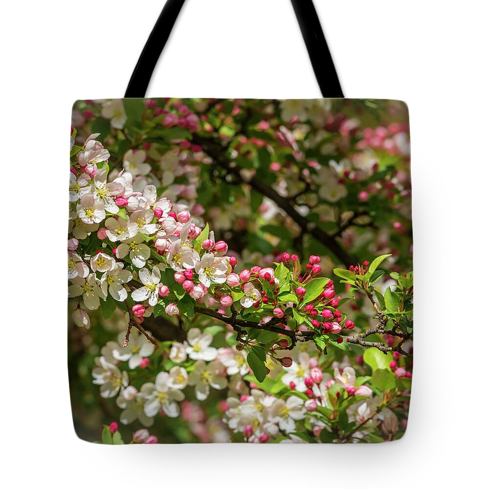5dmkiv Tote Bag featuring the photograph Spring Blossoms #1 by Mark Mille