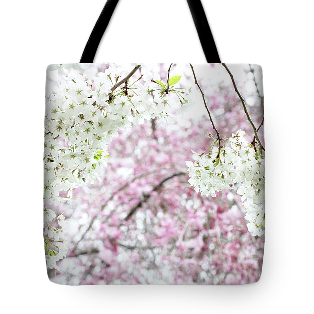 Flowers Tote Bag featuring the photograph Spring Cherry Blossoms #1 by Trina Ansel