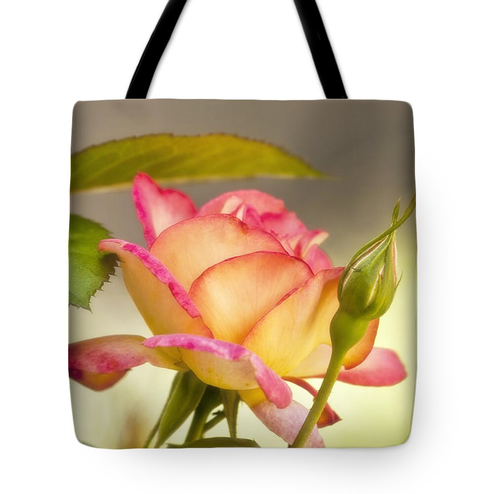 Rose Tote Bag featuring the photograph Spring Is Here #3 by Joan Bertucci