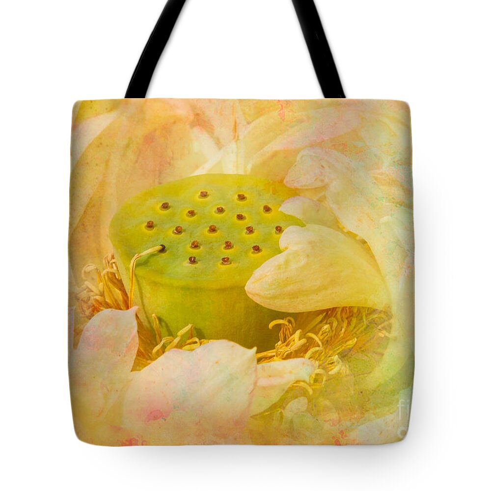 Cole's Pond Tote Bag featuring the photograph Spring Poem, #1 by Marilyn Cornwell