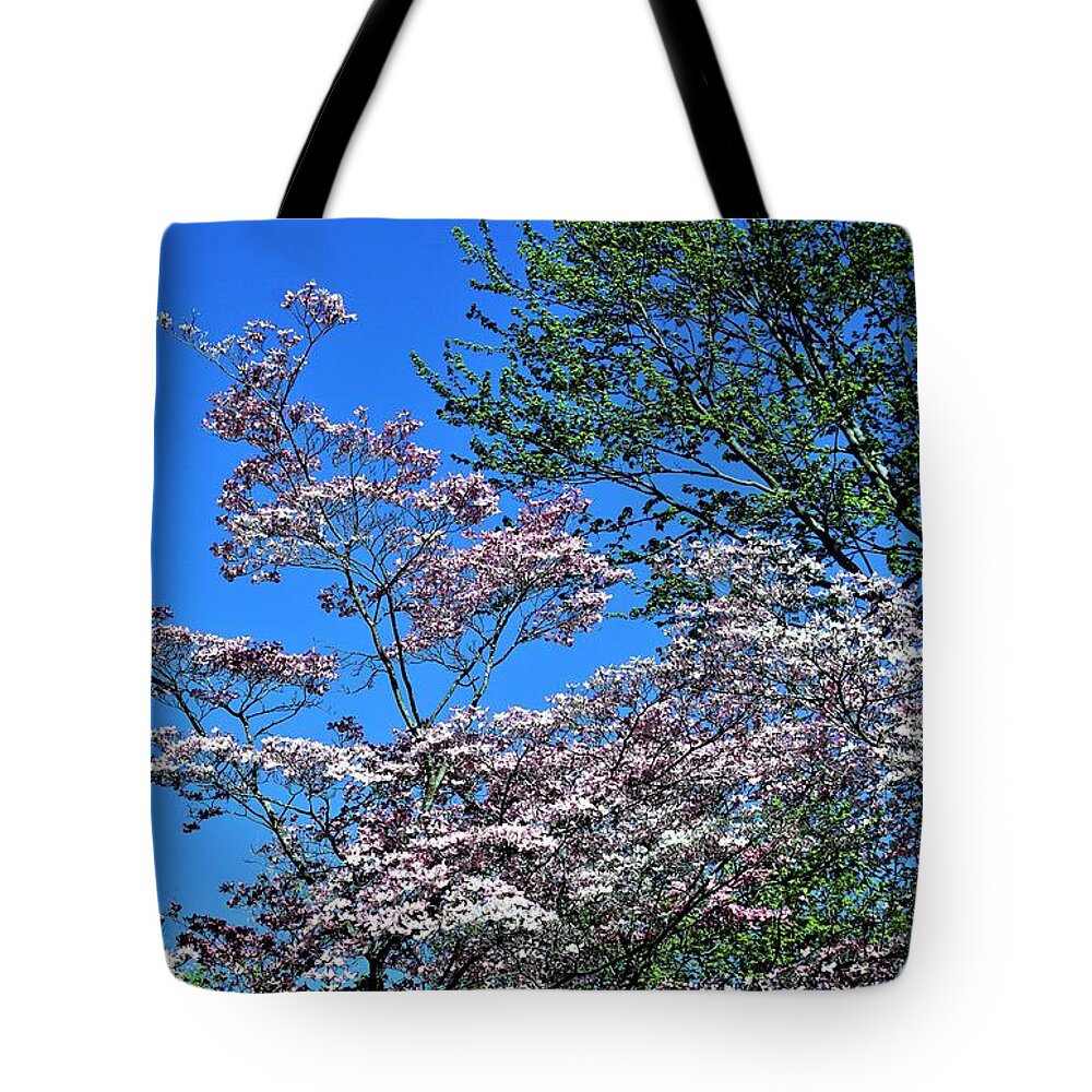 Flowers Tote Bag featuring the photograph Springtime in Louisville by Merle Grenz