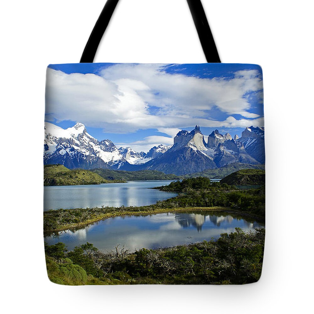 Patagonia Tote Bag featuring the photograph Springtime in Patagonia #1 by Michele Burgess