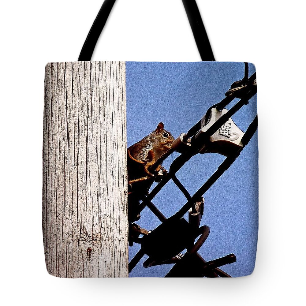 Squirrels Tote Bag featuring the photograph Squirrel bump map #1 by Karl Rose