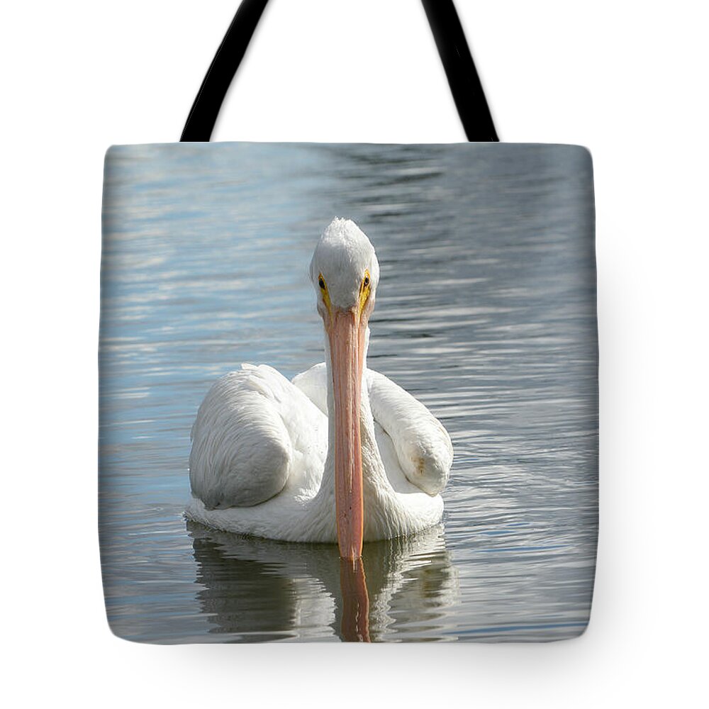 American White Pelican Tote Bag featuring the photograph Straight On #1 by Fraida Gutovich