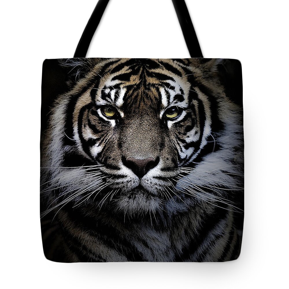 Sumatran Tiger Tote Bag featuring the photograph Sumatran tiger #3 by Sheila Smart Fine Art Photography
