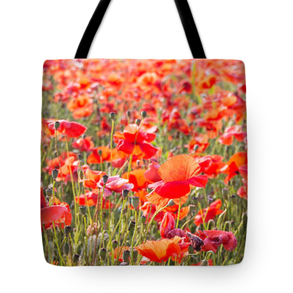 3x1 Tote Bag featuring the photograph Summer poetry by Hannes Cmarits