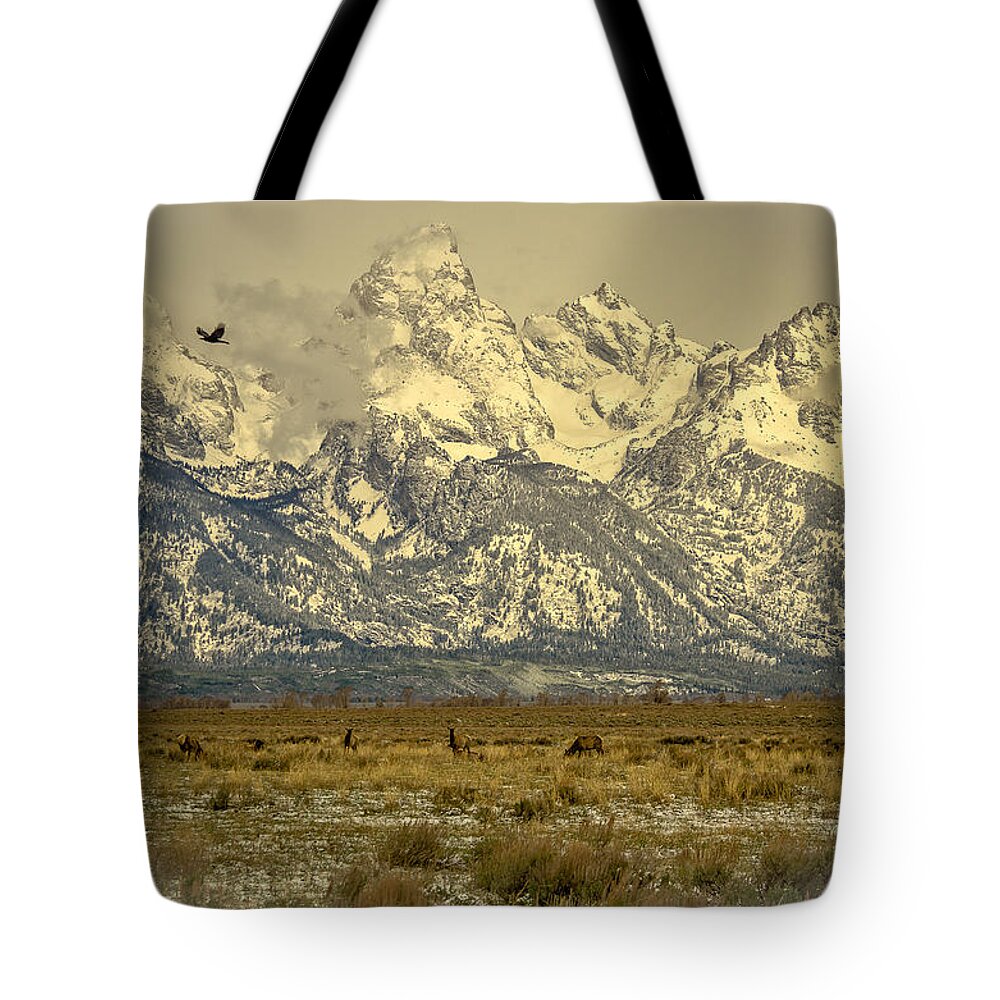 Grand Teton Range Tote Bag featuring the photograph Sun Rising Over The Teton Range #1 by Yeates Photography