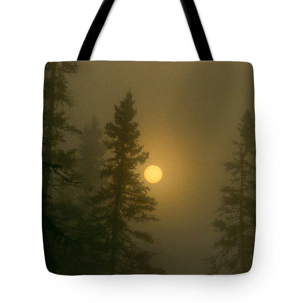 Sunrise Tote Bag featuring the photograph Sunrise Through The Fog 2 #2 by Janice Adomeit