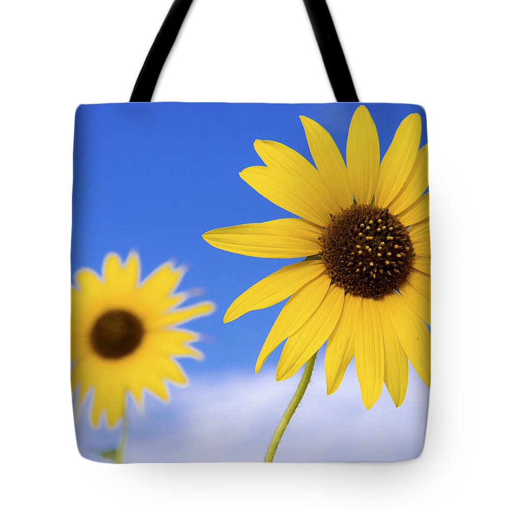 Chad Dutson Tote Bag featuring the photograph Sunshine by Chad Dutson