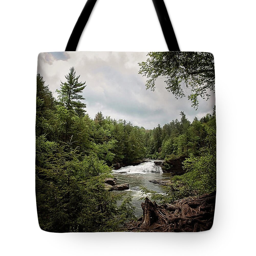 Swallow Falls Tote Bag featuring the photograph Swallow Falls #1 by Kelley Nelson