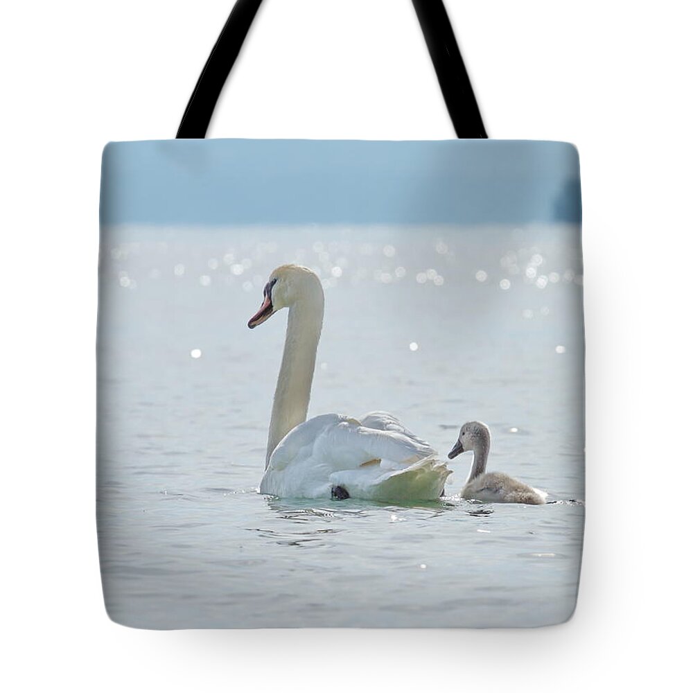 Water Tote Bag featuring the photograph Swan and baby #1 by Elenarts - Elena Duvernay photo