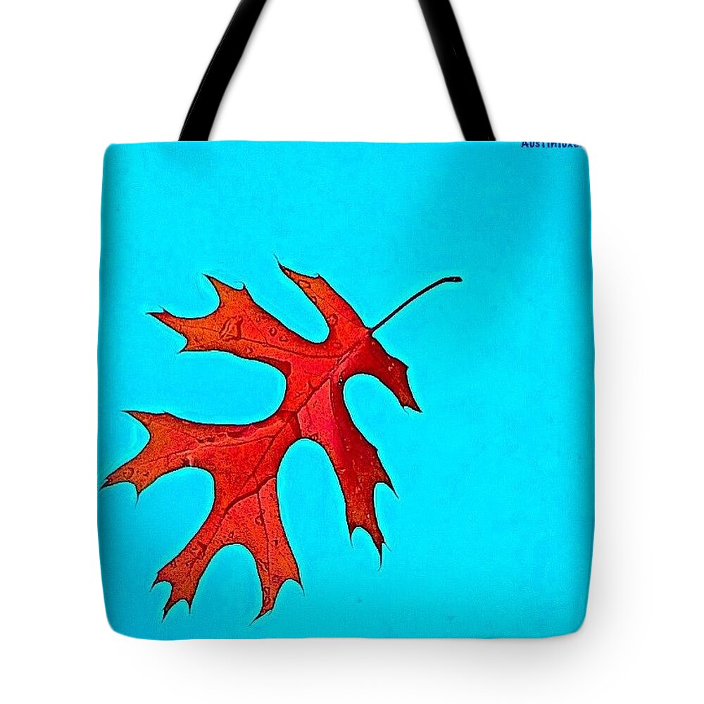 Beautiful Tote Bag featuring the photograph Sweet Dreams! #autumn #autumncolors #1 by Austin Tuxedo Cat
