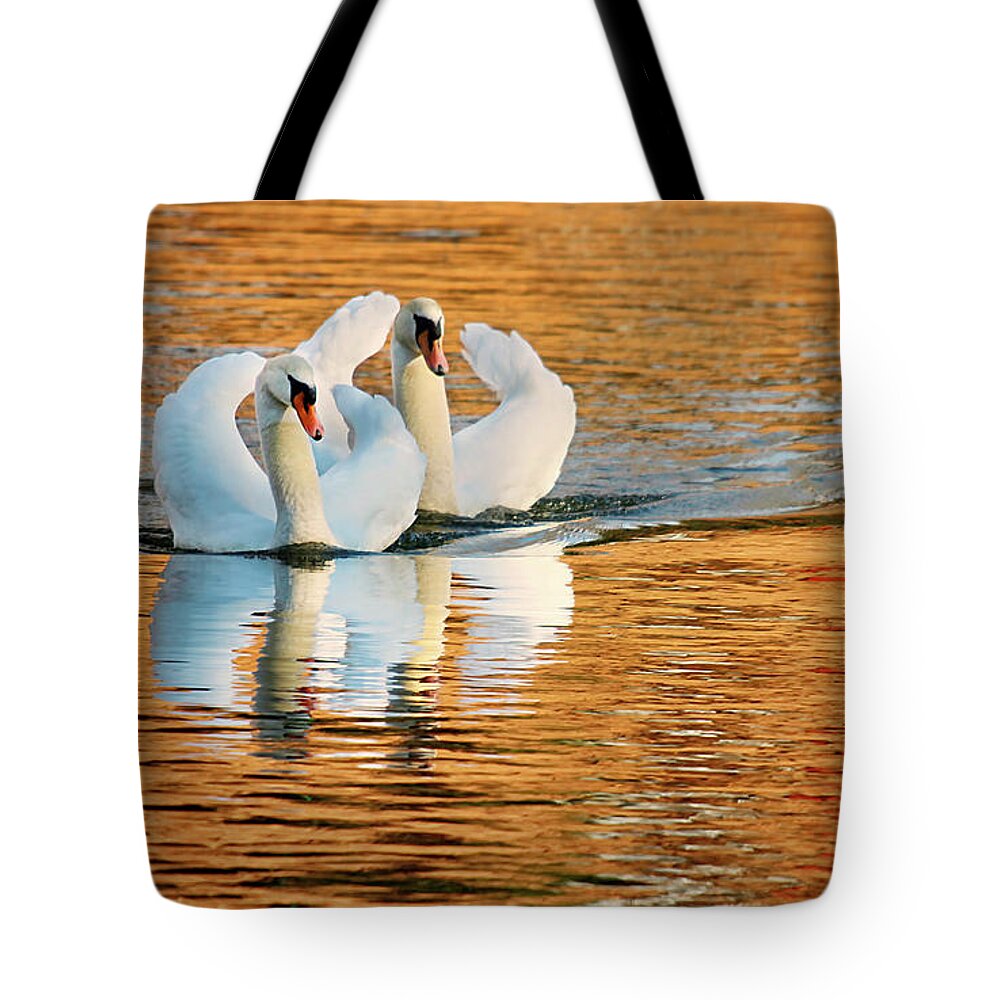 Swimming On Gold Tote Bag featuring the photograph Swimming On Gold #1 by Darren Fisher