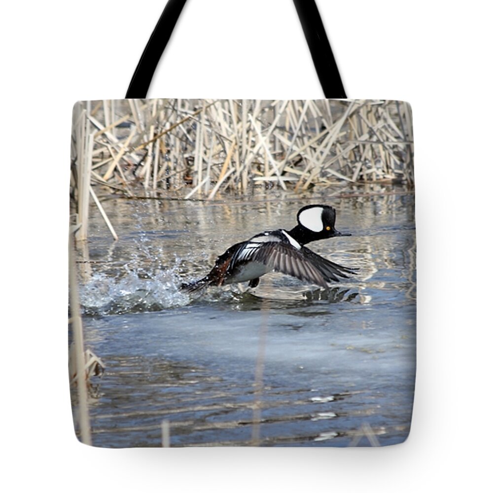 Hodded Tote Bag featuring the photograph Take off #1 by Lori Tordsen