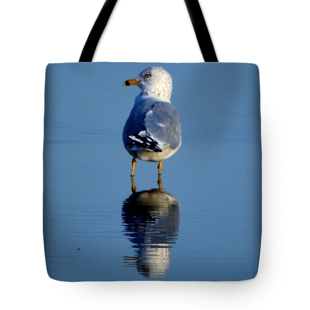 Bird Tote Bag featuring the photograph Tan Lines #2 by Dani McEvoy
