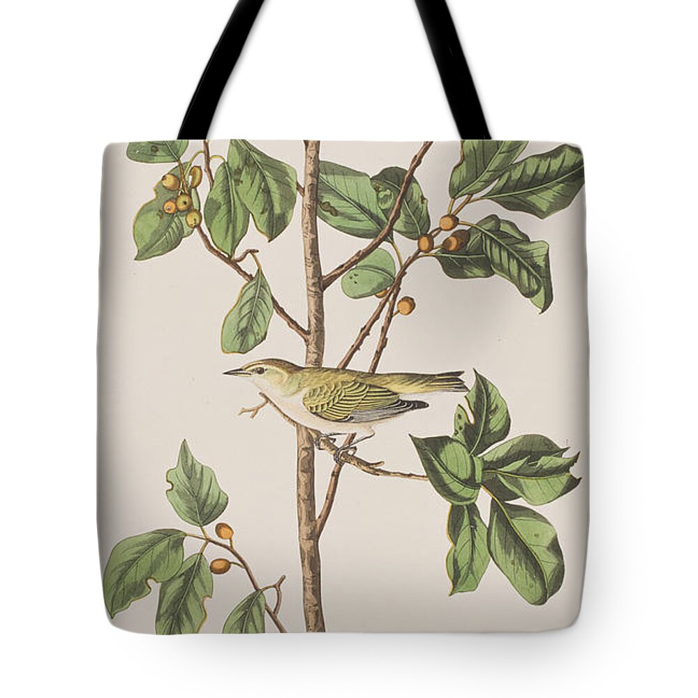 Tennessee Warbler Tote Bag featuring the painting Tennessee Warbler by John James Audubon