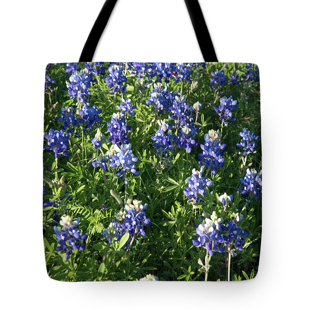Bluebonnet Tote Bag featuring the photograph Texas Bluebonnets #1 by Frank Madia