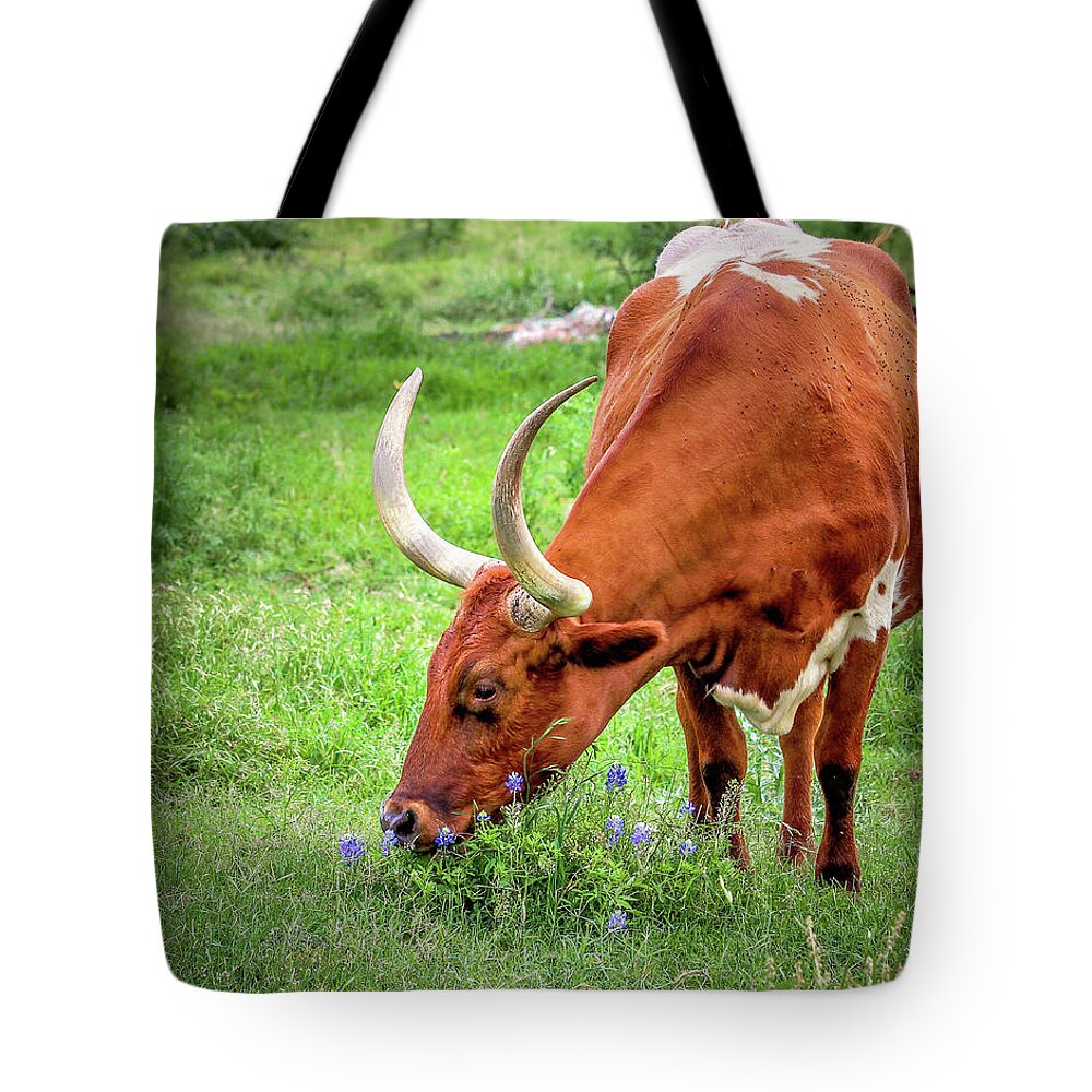 Texas Longhorns Tote Bag featuring the photograph Texas Longhorn Grazing by Robert Bellomy
