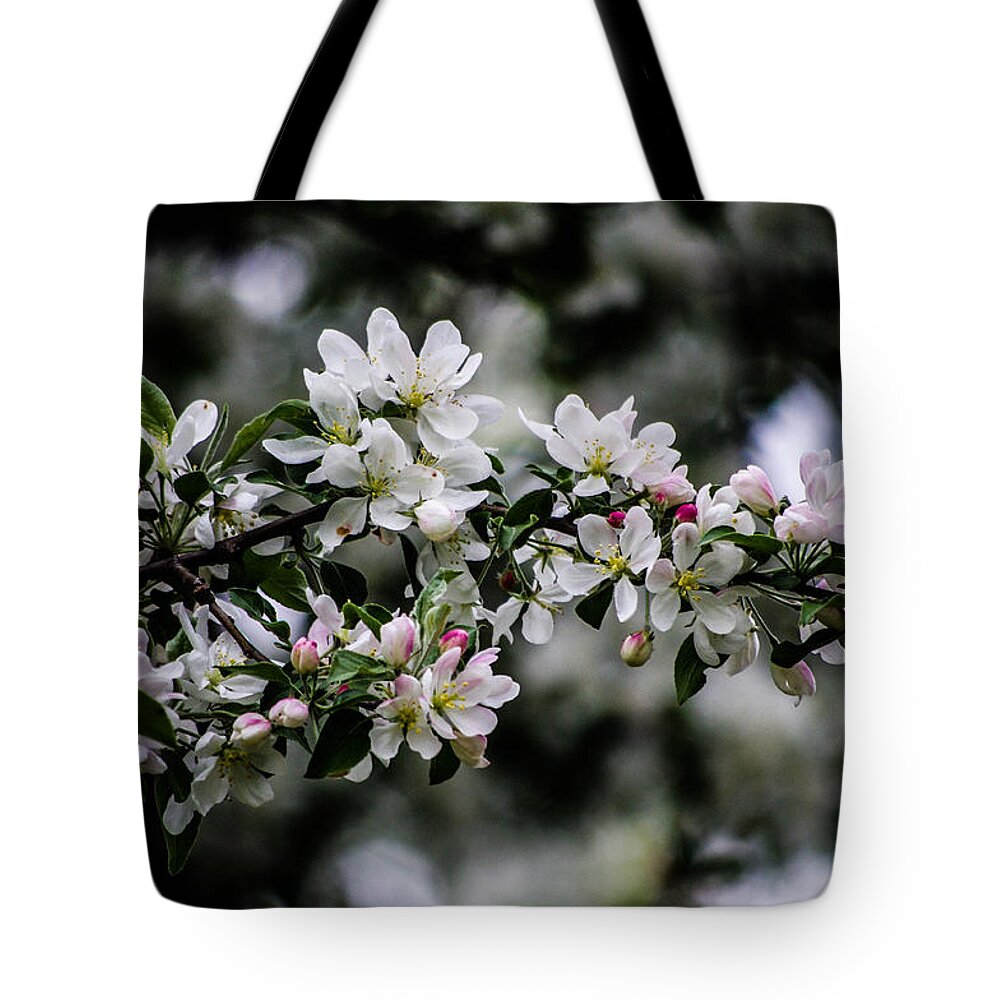 Nature Tote Bag featuring the photograph The beauty of spring #1 by Gerald Kloss