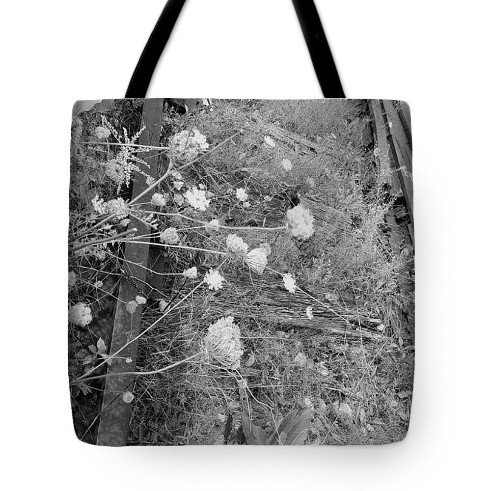 The High Line Tote Bag featuring the photograph The High Line 193 #1 by Rob Hans