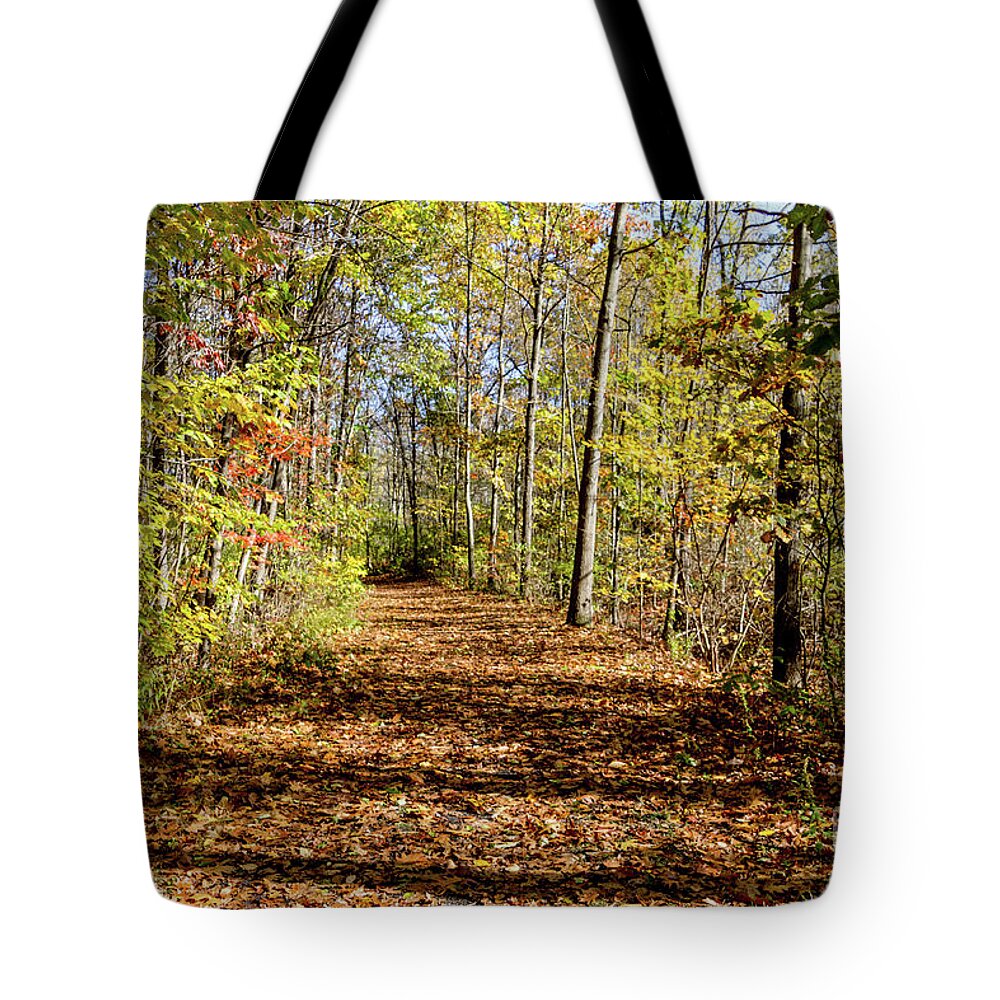 Outlet Tote Bag featuring the photograph The Outlet Trail #1 by William Norton