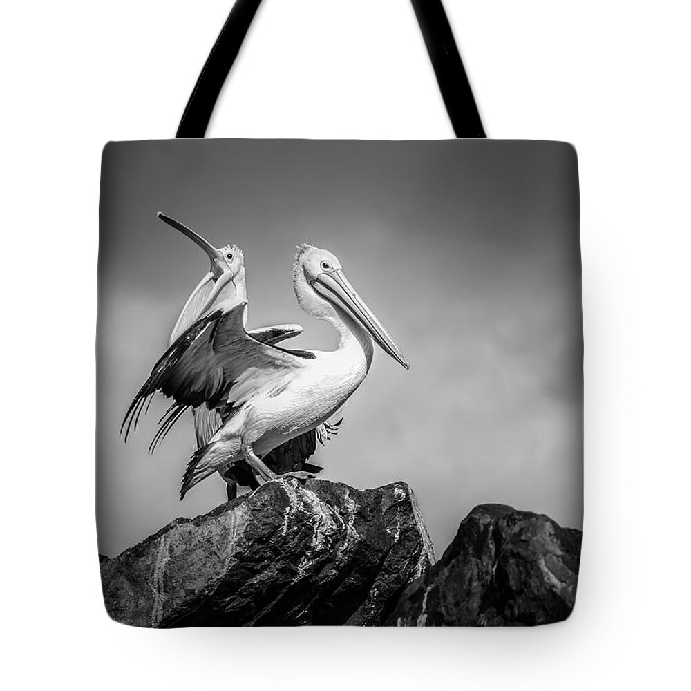 Pelican Tote Bag featuring the photograph The Pelicans #1 by Racheal Christian