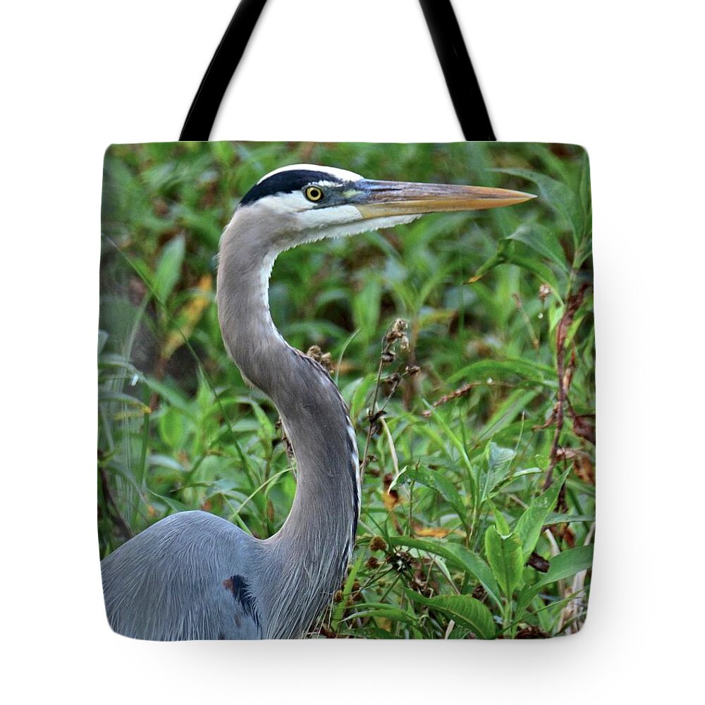 Heron Tote Bag featuring the photograph The Stare #1 by Carol Bradley