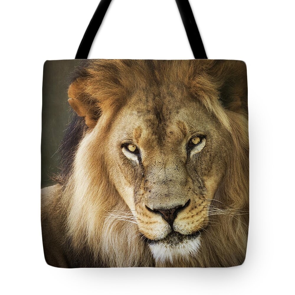 African Lion Tote Bag featuring the photograph Through The Eyes of A King #1 by Saija Lehtonen