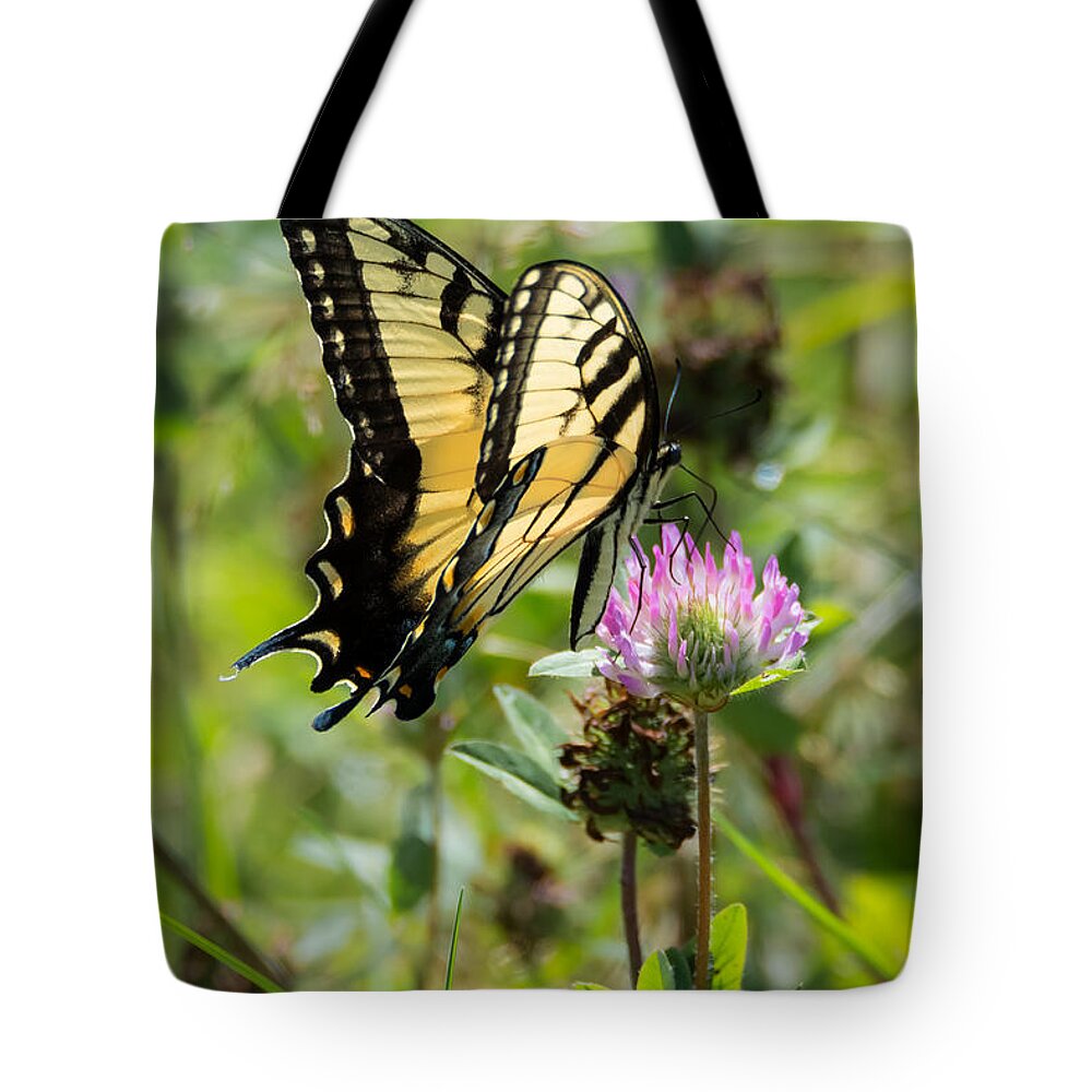 Butterfly Tote Bag featuring the photograph Tiger Swallowtail Butterfly by Holden The Moment