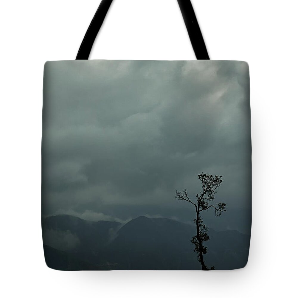 India Tote Bag featuring the photograph Tree and Mountain #1 by Rajiv Chopra