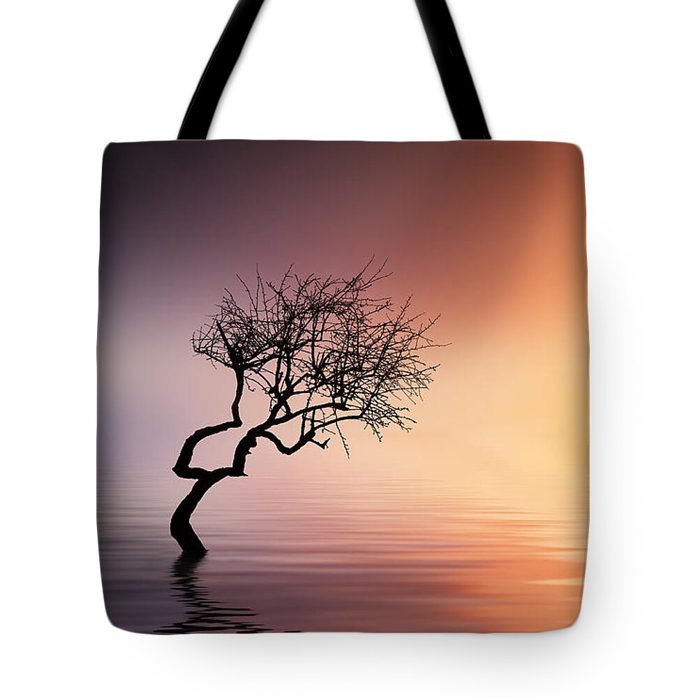 Outdoors Tote Bag featuring the photograph Tree at lake #1 by Bess Hamiti